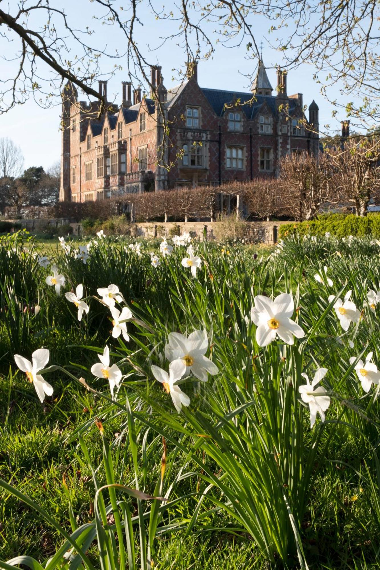 Horsted Place Hotel Uckfield Exterior foto